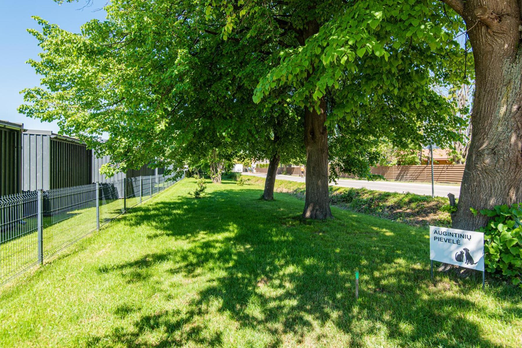 Apartamento Private With Terrace And Swimming Pool Palanga